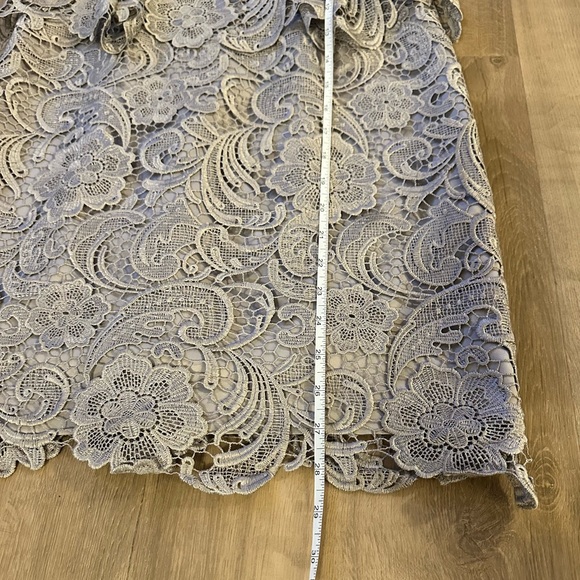 Adrianna Papell Lace Mini Dress in Soft Silver Gray - Picture 4 of 5